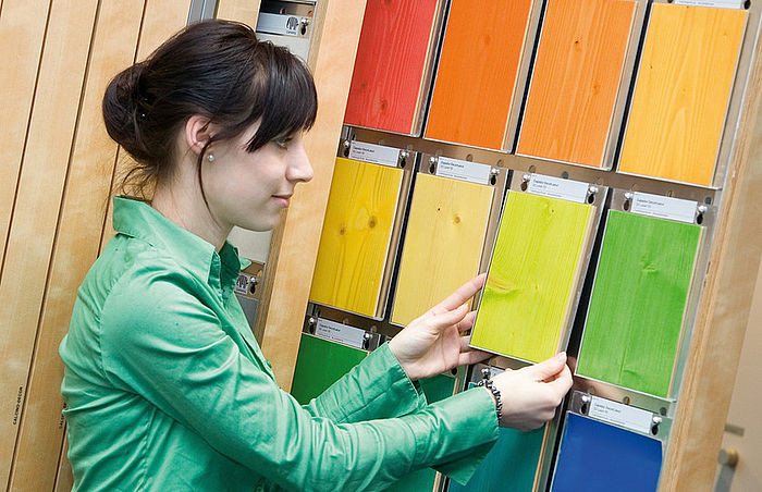 Competență în lumea vopselelor și culorilor